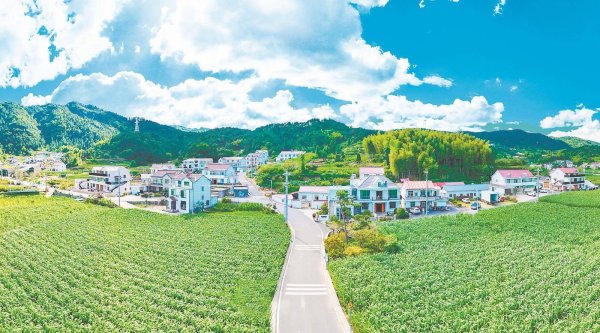 武汉股票配资平台 “凉资源”兴乡村