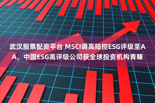 武汉股票配资平台 MSCI调高陆控ESG评级至AA，中国ESG高评级公司获全球投资机构青睐